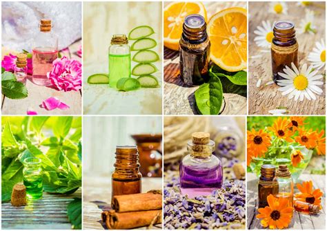 Beauty From Within: Spells and Potions for Inner Radiance